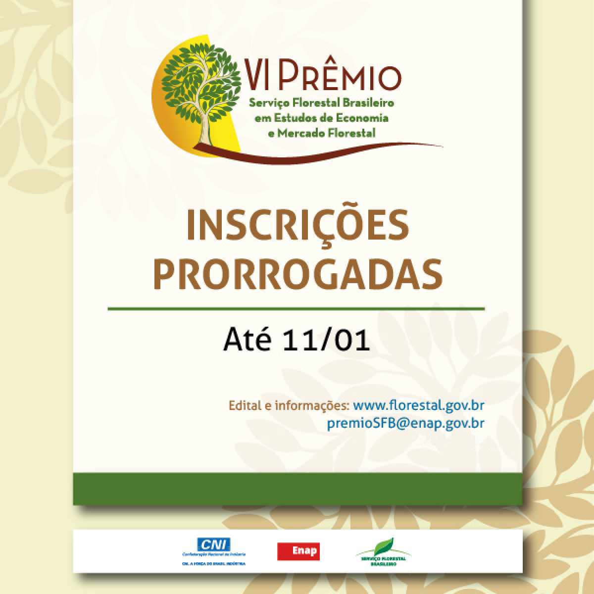 Inscrições prorrogadas para o 6º Prêmio Serviço Florestal Brasileiro em Estudos de Economia e Mercado Florestal  - Corecon/SC